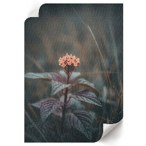 Grafika na ścianę Kwiatowy urok