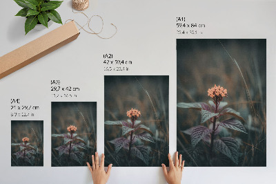 Grafika na ścianę Kwiatowy urok