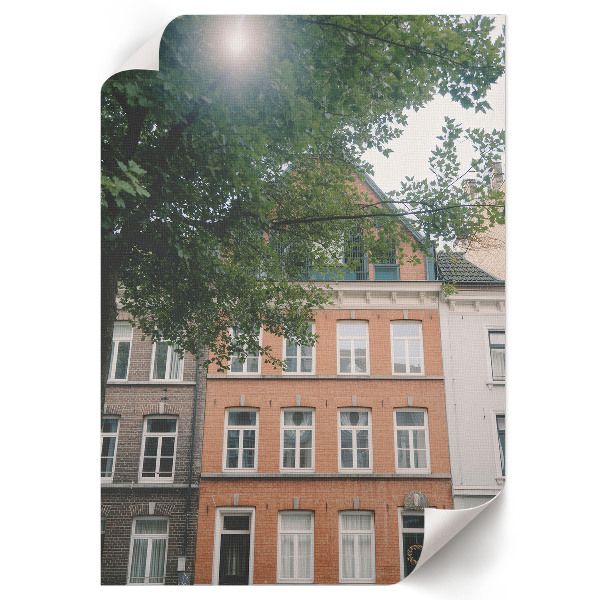 Plakat premium Kamienica natura