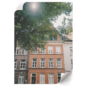 Plakat premium Kamienica natura