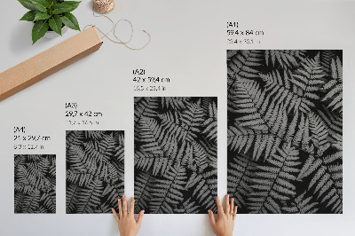 Plakat premium Paprocie czarno-białe
