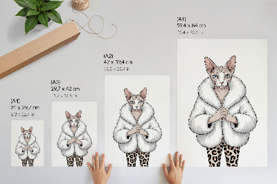 Grafika na ścianę Stylowy kot