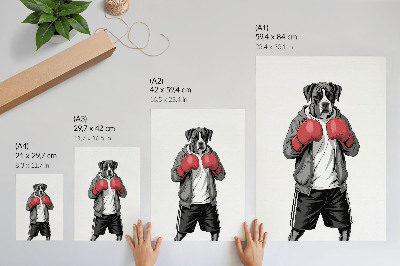 Plakat premium Bokser pies