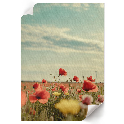Plakat premium Letnie kwiaty
