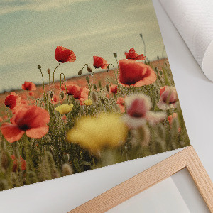 Plakat premium Letnie kwiaty