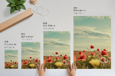 Plakat premium Letnie kwiaty