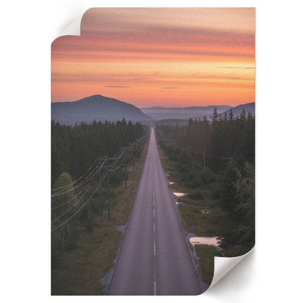 Grafika na ścianę Leśna droga