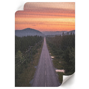 Grafika na ścianę Leśna droga