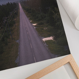 Grafika na ścianę Leśna droga