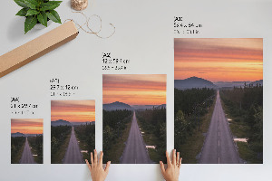 Grafika na ścianę Leśna droga