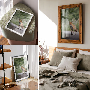 Dekoracyjny plakat ścienny Lis w naturze