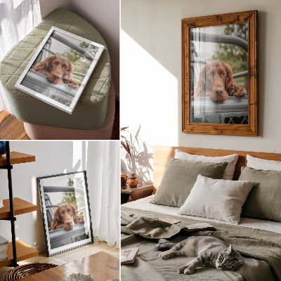 Plakat premium Pies w aucie
