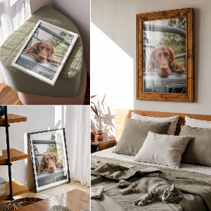 Plakat premium Pies w aucie