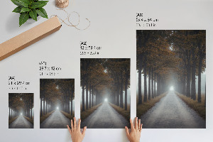 Grafika na ścianę Mglista aleja