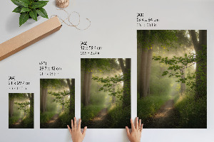 Wydruk na płótnie Leśny spokój