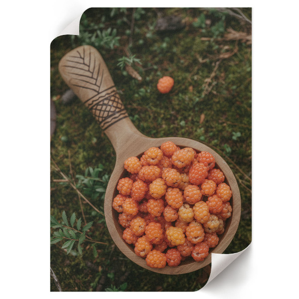 Wydruk na płótnie Leśne jagody