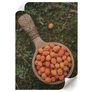 Wydruk na płótnie Leśne jagody