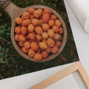 Wydruk na płótnie Leśne jagody