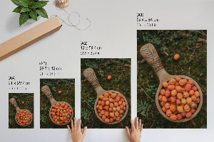 Wydruk na płótnie Leśne jagody