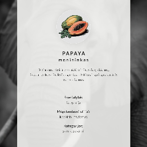 Plakat premium Zając w naturze