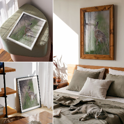 Plakat premium Zając w naturze