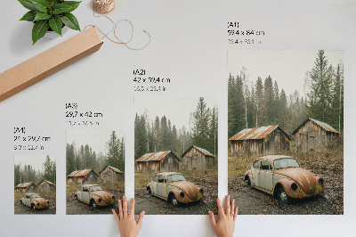 Plakat premium Wrak auta