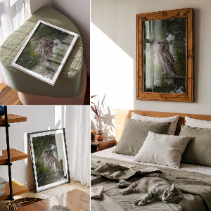 Dekoracyjny plakat ścienny Sowa leśna