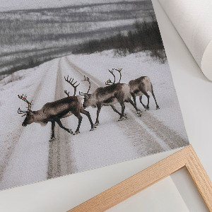 Wydruk na płótnie Zimowy pejzaż