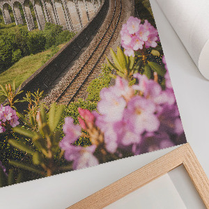 Plakat premium Spokojny krajobraz