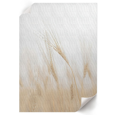 Grafika na ścianę Kłosy zboża