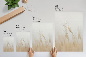 Grafika na ścianę Kłosy zboża