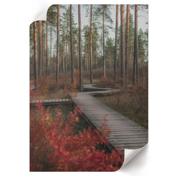 Plakat premium Leśna droga