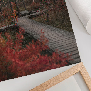 Plakat premium Leśna droga