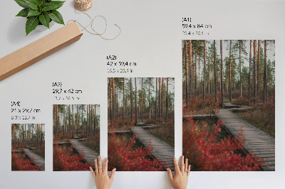 Plakat premium Leśna droga
