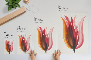 Dekoracyjny plakat ścienny Kolorowy kwiat