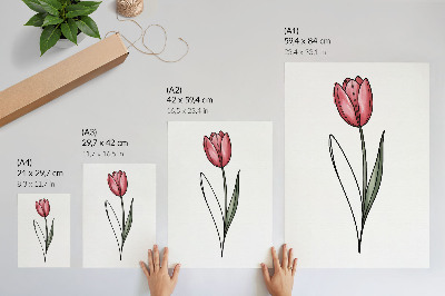 Plakat premium Różowy tulipan