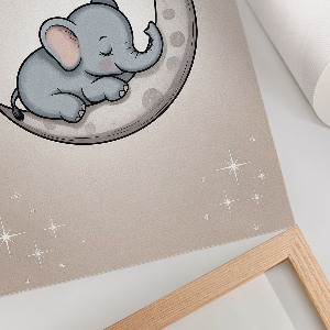 Wydruk na płótnie Słonik na księżycu