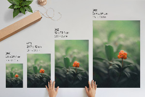 Wydruk na płótnie Pomarańczowe jagody