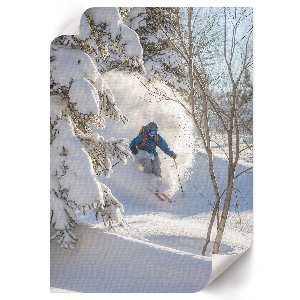 Wydruk na płótnie Zimowy zjazd