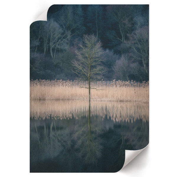 Wydruk na płótnie Spokojny pejzaż