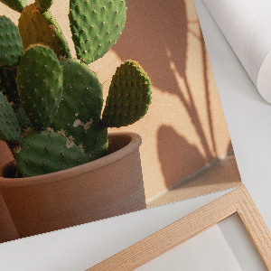 Grafika na ścianę Zielony kaktus