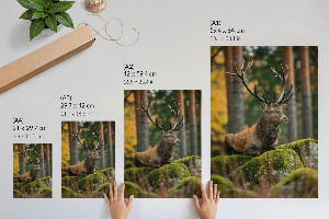 Grafika na ścianę Dostojny jeleń