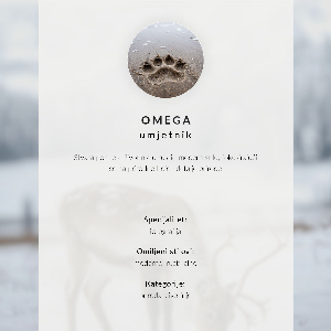 Grafika na ścianę Niedźwiedzia siła