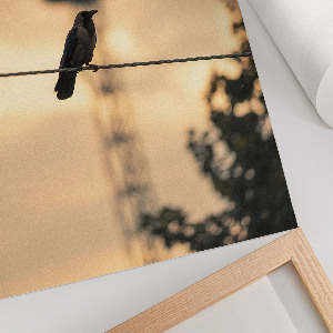 Plakat premium Ptak na kablu