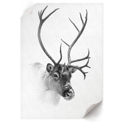 Plakat premium Renifer zimowy