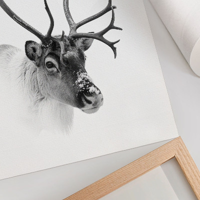 Plakat premium Renifer zimowy