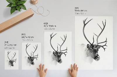 Plakat premium Renifer zimowy