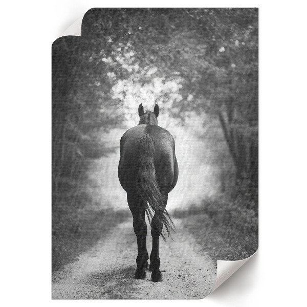 Dekoracyjny plakat ścienny Koń w lesie