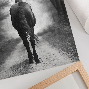 Dekoracyjny plakat ścienny Koń w lesie