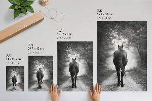 Dekoracyjny plakat ścienny Koń w lesie